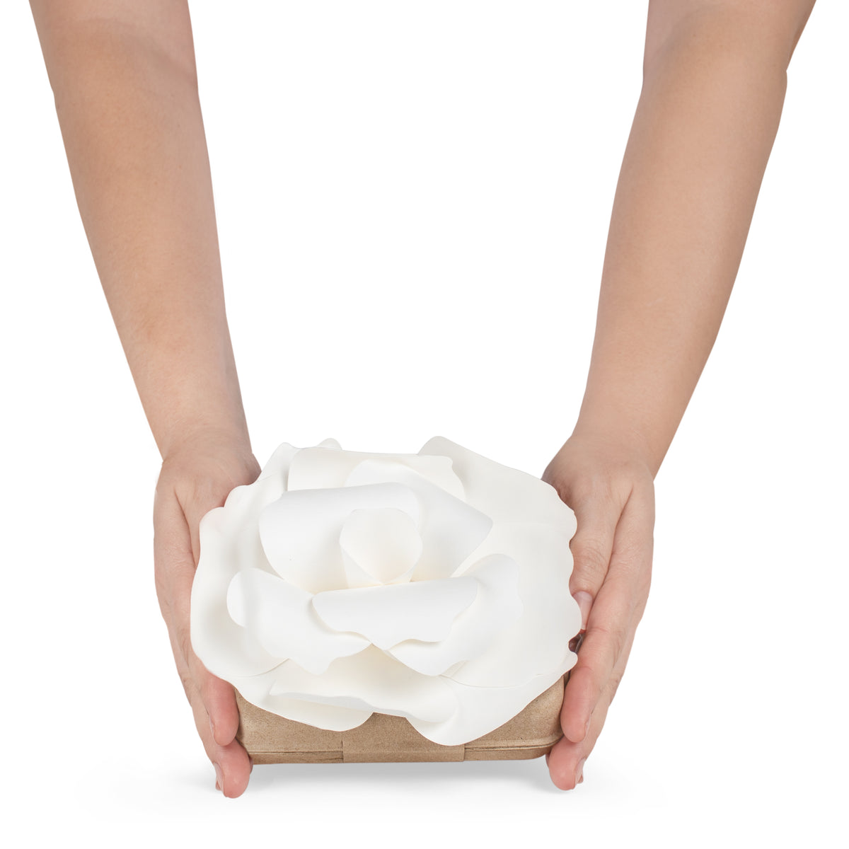 Biodegradable Cremation Urn (Small Size)